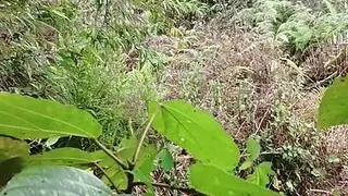 Fucking with own sister at jungle showing of own land