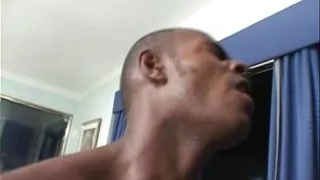 Latina Ass Anal Blowjob and Fucked