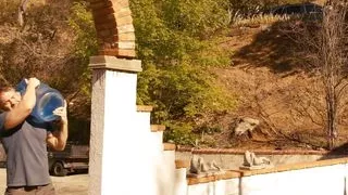 Delphine Films - Drought