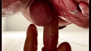 BravoXray Bear Exploring With Wife's Toys For Extra Income