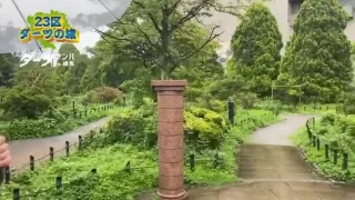 hwrg0hweg1ghweg8werghw216