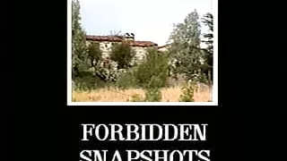 Interracial Video Vixens