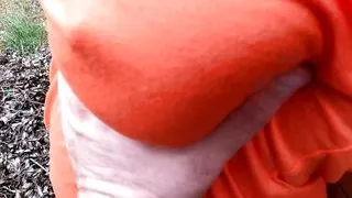 The tits are beaten behind the transformer