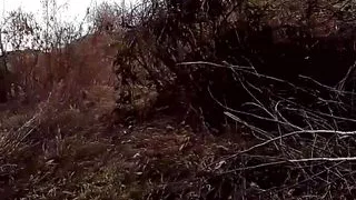 Un paseo sexy por la naturaleza