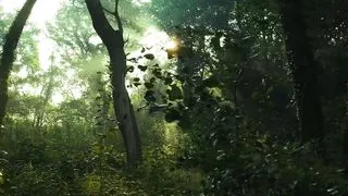 The beauty makes a beautiful blowjob and is ready to try sperm