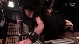 Xbr586-wbacoxyasl970179227