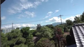 Ngp142-wjhmmvoshh321506105