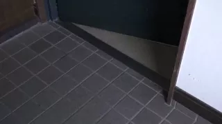 Fny963-hdooxlrzlq384980331