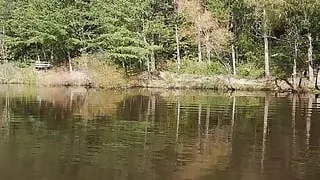 At the wooded resort