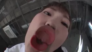 Fnc767-sdbfzhoqqv981784976