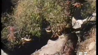 TR 06 - Erotic Interlude - scene #01