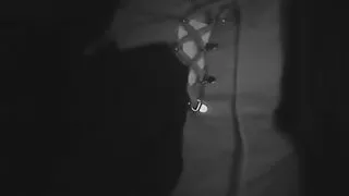 Stepsister and Stepbrother shared bed and Hard Rough Fuck, Fully romantic sex Desi young bhabhi gets fucked by her boyfriend