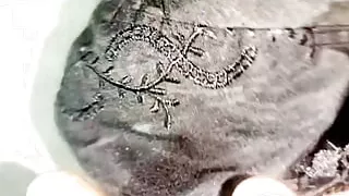 Bhabhi aunty bra sexy mood may second part sister