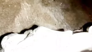 Bhabhi ke bra or shalwar say mazay