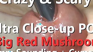 Crazy & Scary POV Extreme Close-up Big Red Mushroom 13mm Sounding w Cumshot 4K