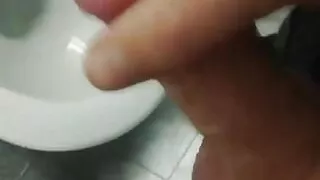 Cum in the Toilette