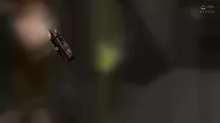 0004370_Japanese_Censored_MGS_19min