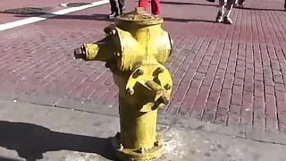 THE REAL L WORD XXX NYC (Full Movie)