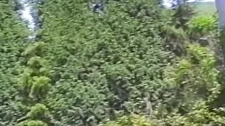 Outdoor vintage threesome that is just perfect