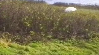 This is the best vintage fuck fest with naughty teen