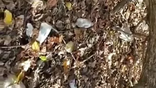 Massive amounts of cumshot on his dick