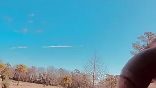 Dick swinging in public