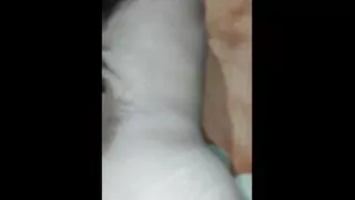 فرعتليا طبوني يا الزامل غير بشوية سمع كلامها ????sex arabic