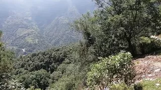 She wanted to suck while we're hiking