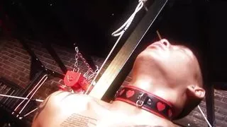 Released slave eats out his mistresses and lets them use his cock