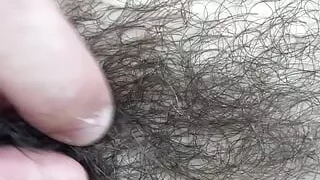 Furry bushy tour of my ass - verbal video!