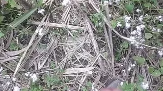 Sex video hindi sex video hindi sex video