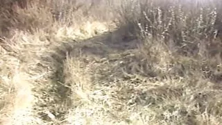 Spanking session with three super hot babes