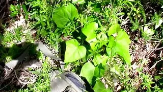 Nancy Hot is a ebony you have to see in action