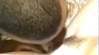 White Chick Rides a Black Dude with Big Dick After Sucking Him Deep on the Bed