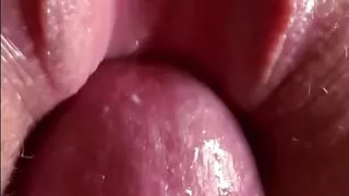 I was happy to find the village wife alone today