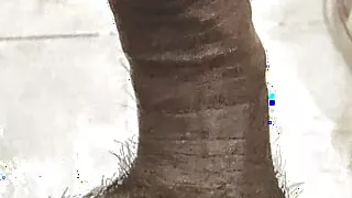 Indian desi boy bathing & showing his dick