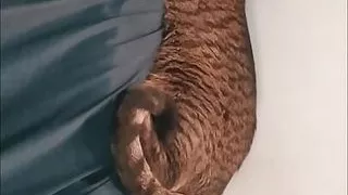 Part 3 My Friend Fucks My Wife While I Film Her On The UltimoPowder Cabinet2