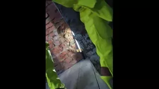 Hot Bitch Monika Fox Posing In A Light Green Outfit & Playing With A Big Toy