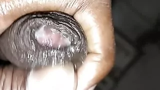 Long Cock Master  Desi 