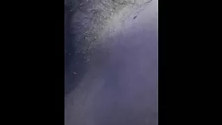 Put my land at sister-in-law's house