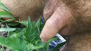 Maxx821 punishes his own tiny cock with nettle