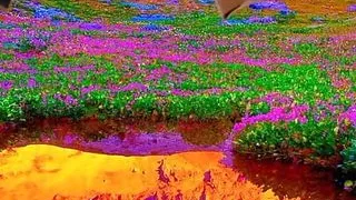 Sexy Milf Big Cock Jocker's Cock - Hot Trans