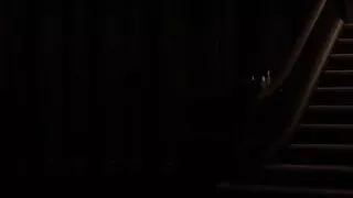 The Genesis Order Text Dialogue Part 276