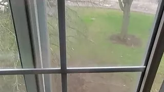 Verbal Fantasy Breeding Sperm into My Clear Fleshlight