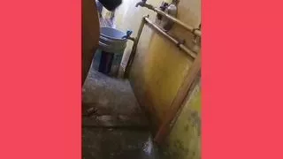 My wife's friend Sindhu Gulial