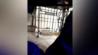 Bhabhi's Big Boobs, Suck Her Bottom Hole