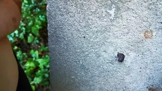 Scrub her tits on 100 things outdoor