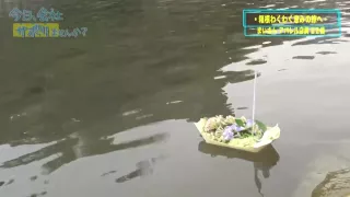 0005172_ずらし挿入 美脚 手マンなどが含まれている