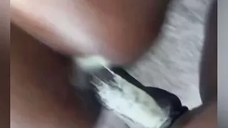 Creampie ME , BREED ME