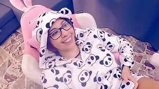 In the Last Survey You Chose Le Zinne